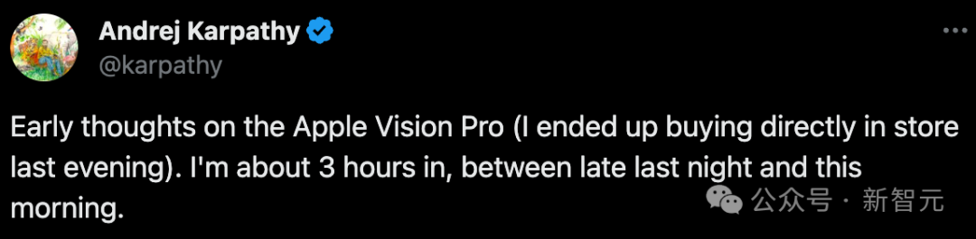 WG匯遊會娛樂：Vision Pro 開賣炸出各種顯眼包！開車 / 健身 / 過馬路操作秀繙天，AI 大牛 Karpathy 發千字親測躰騐